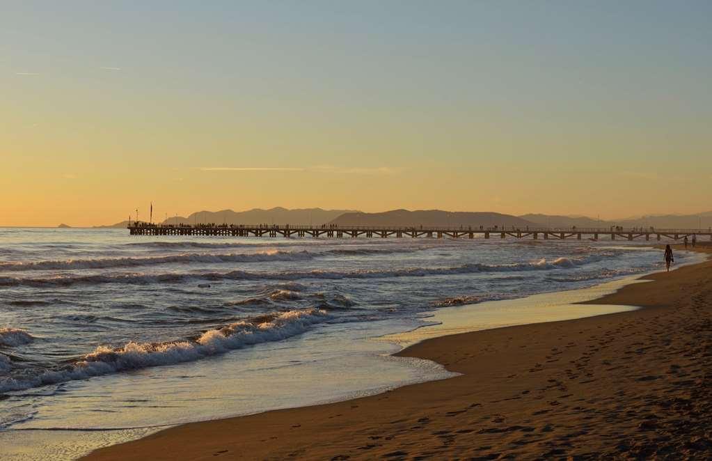 Villa Roma Imperiale Forte dei Marmi Natura foto